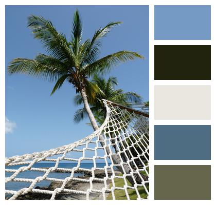 Hammock Palm Tree Perspective Image